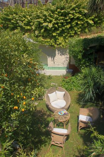 La Bouganville Gaeta - image 4