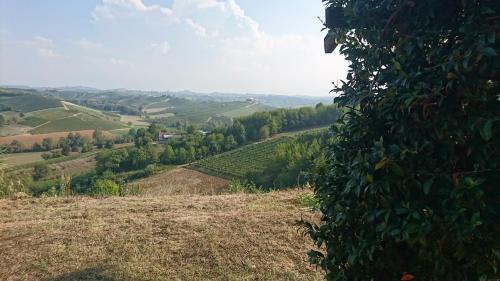 Large secluded villa, fabulous countryside views, beautiful Piedmonte landscape