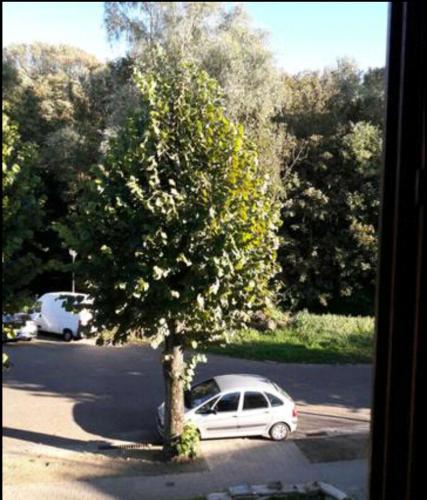 Chez Mimi - chambre vue parc, Brüssel (Foto 8)