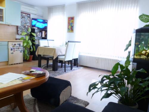 Art31, Sofia (photo 4)