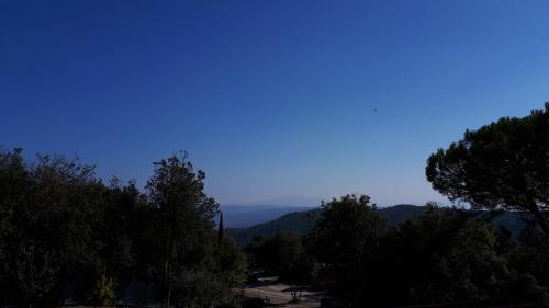 Alba Chiara