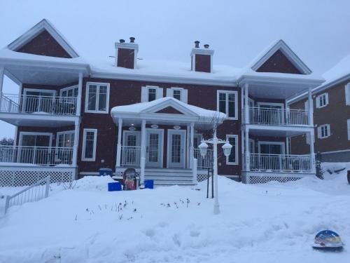 Condo Lac Archambault 298