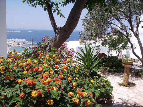 La Veranda of Mykonos Traditional Guesthouse - image 6