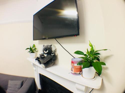 共用Lounge/電視區