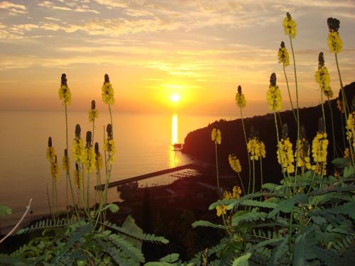  A View For You in Ribeira Brava