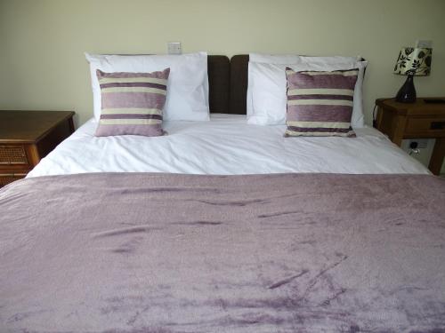 Ellesmere Hotel - image 6