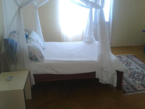 Samara Lodge