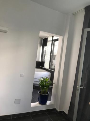 Apartamento Centro de Arrecife 5