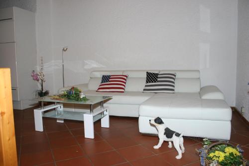 Ferienwohnung Bücker in Telgte, Deutschland