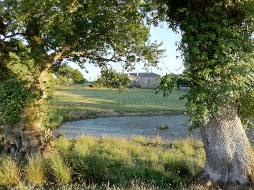Rectory Farm, Haverfordwest (fotografie 11)