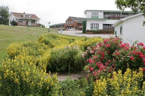 ทางเข้า, Laurie's Inn in เชติแคมพ์ เอ็นเอส