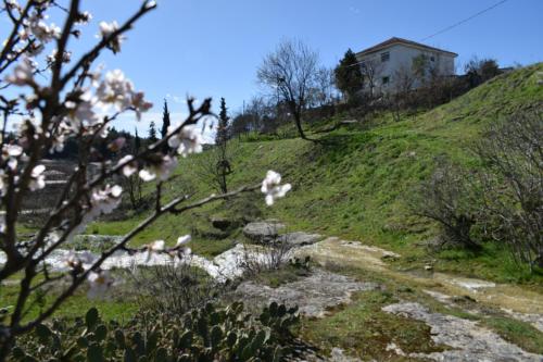 Oasis of CalmnessΕ - Location saisonnière - Ardánion