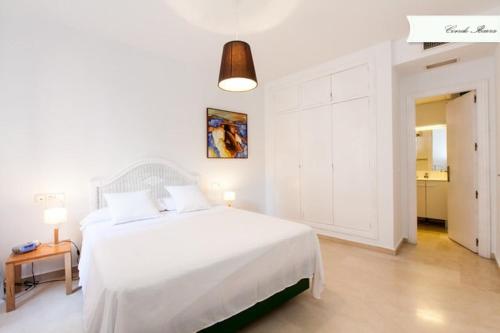 Conde de Ibarra, Sevilla (Foto 3)