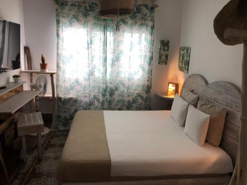 Cactus Host - image 8