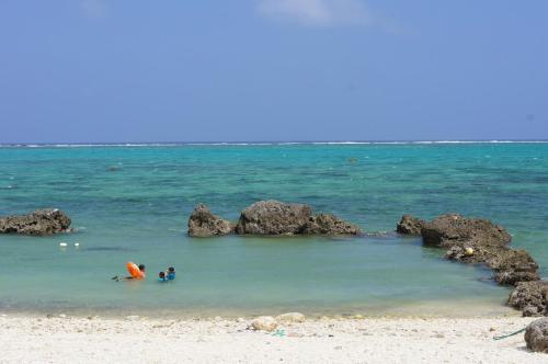Le Lotus Bleu Ishigaki