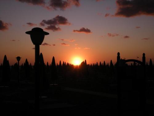 Hotel San Francisco Spiaggia - image 6