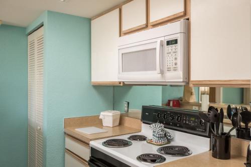 Sunrise Suites Grand Bahama Suite #106 - image 8