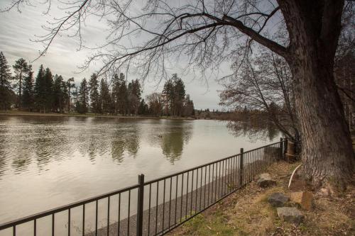 Mirror Pond - image 5