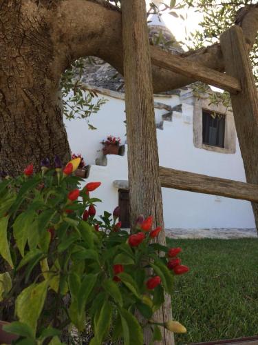 Trulli La collinetta