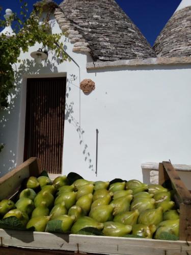 Trulli La collinetta