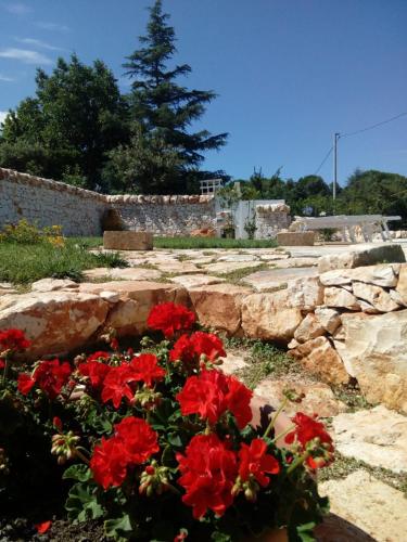 Trulli La collinetta