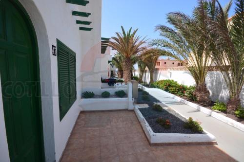 สวน, Cotillo Lagos in เอลโกติโย