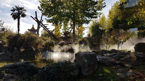 Location BALNEO DUO près zoo de Beauval