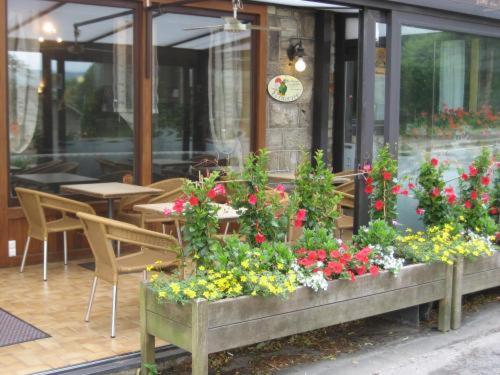 Hotel Saint-Hubert - image 3