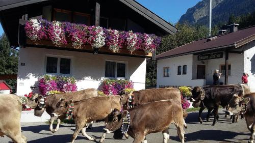 B&B Oberstdorf - Ferienwohnung Schanzenblick - Bed and Breakfast Oberstdorf