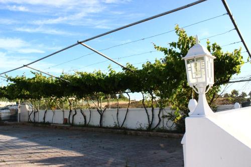 Sunshine - image 9