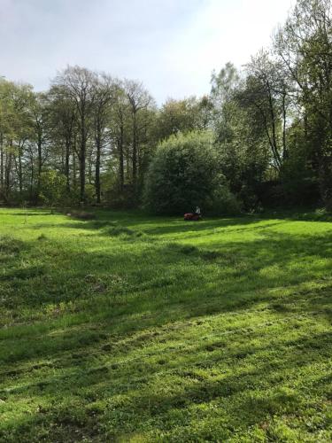 Borstel - Alte Schmiede - image 12