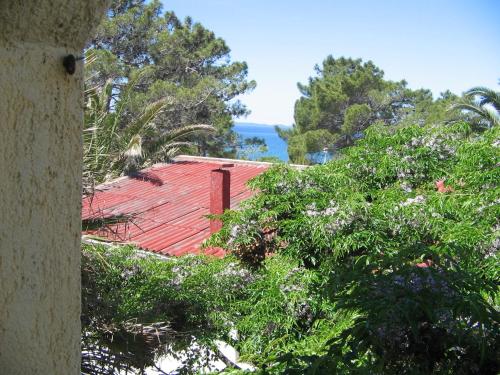 Studio with Terrace image 7
