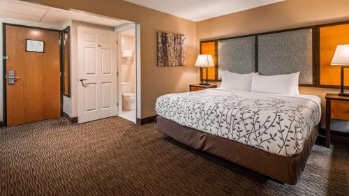 Best Western Of Birch Run/Frankenmuth