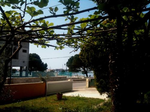  Accommodation Vitalio in Umag