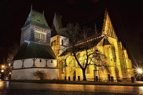 Wellness Hotel Svoboda - Rakovník