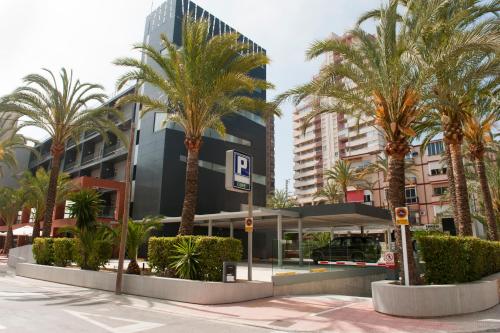 Hotel El Palmeral - image 8