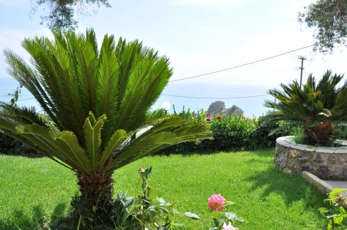 Lidovois House - image 5