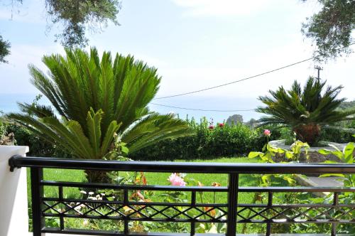 Lidovois House - image 7