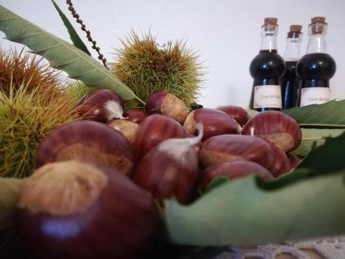  Casa Serra da Lapa in Viseu