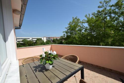 Apartments Kraljic - image 6