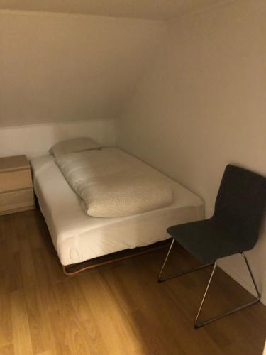 Birkebeiner Apartment