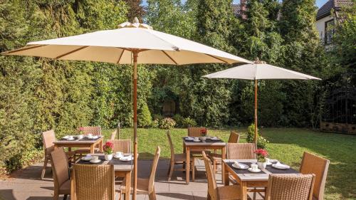 Boutiquehotel Dreesen - Villa Godesberg - image 7
