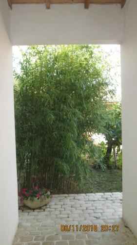 Au Soleil photo 16