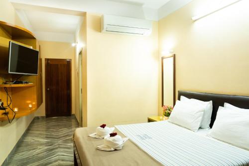 Standard Double Room room in Hotel Victoriyah