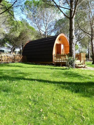 Glamping Sintra