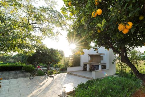 Holiday home next to orange tree orchard