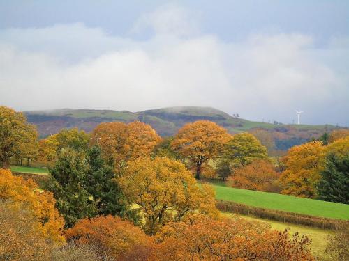 Pwllgwilym B & B