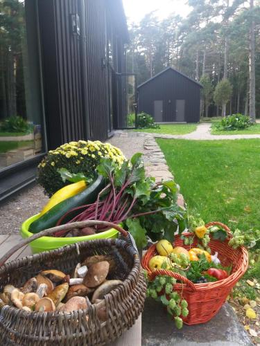 Hõbekala Guesthouse