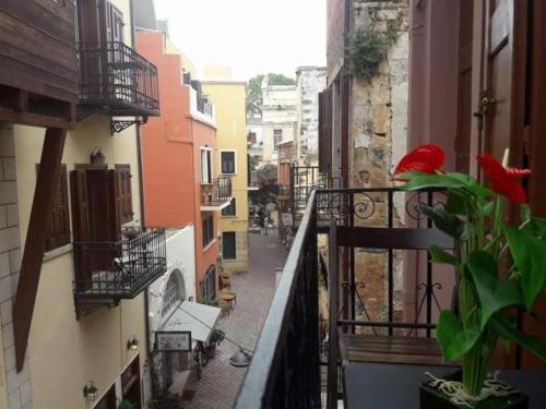 Boho City Hostel - image 4