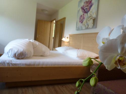 B & B Gurterhof – Schenna, MS